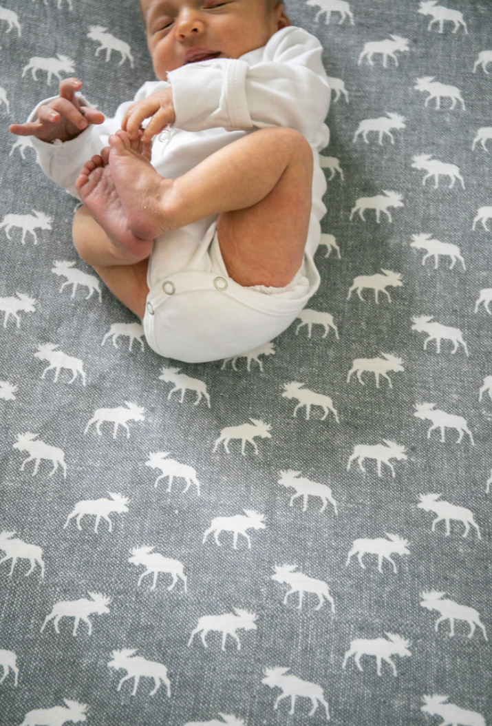 Scout Premium Knit Fitted Crib Sheet