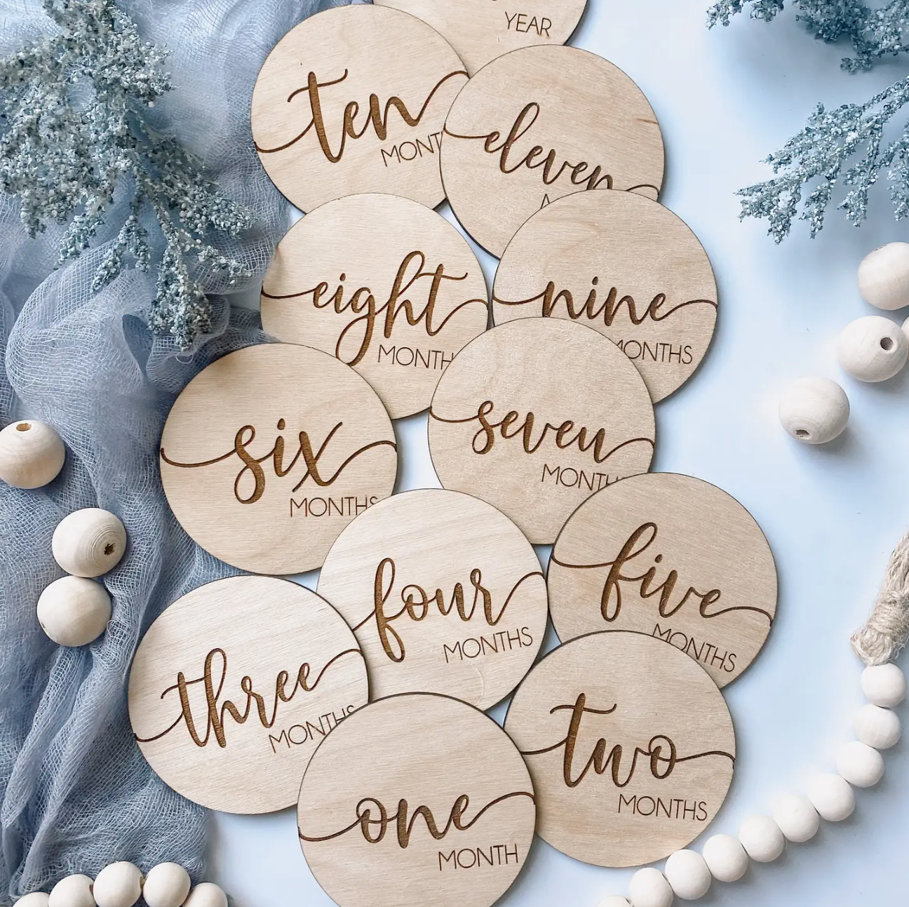 Baby Milestone Disks