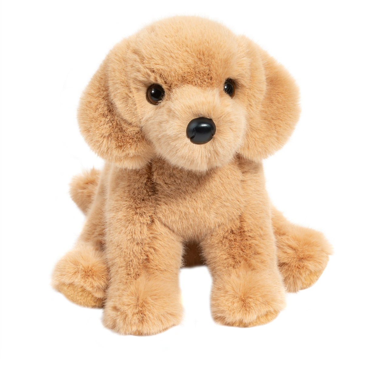Goldie Golden Retriever Puppy