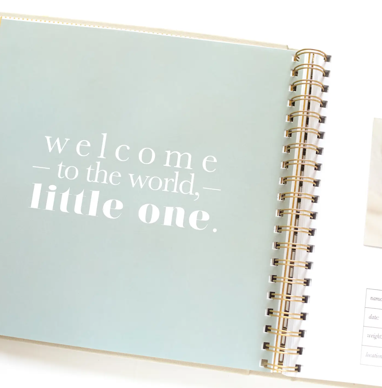 The Baby Memory Book