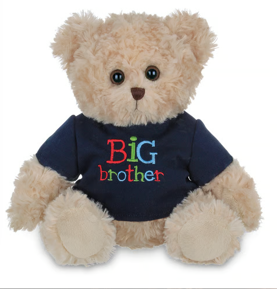 Big Brother Bear Buddy
