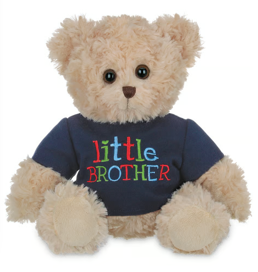 Little Brother Bear Buddy