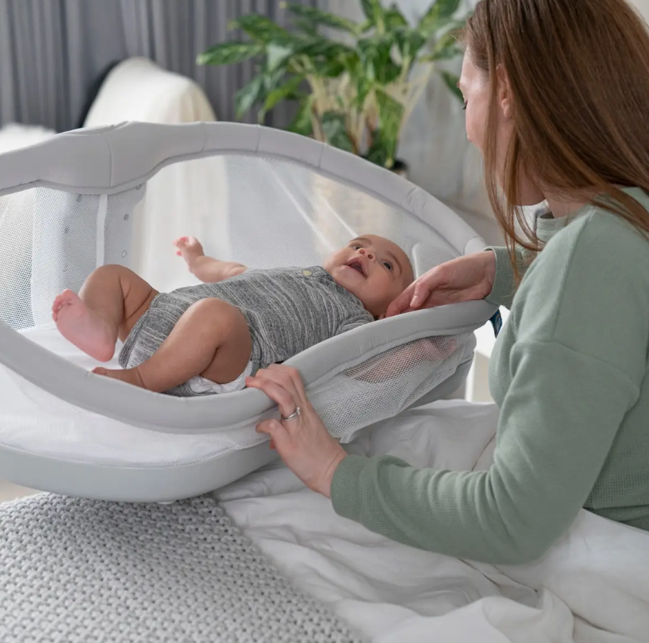 Grey BassiNest Swivel Sleeper