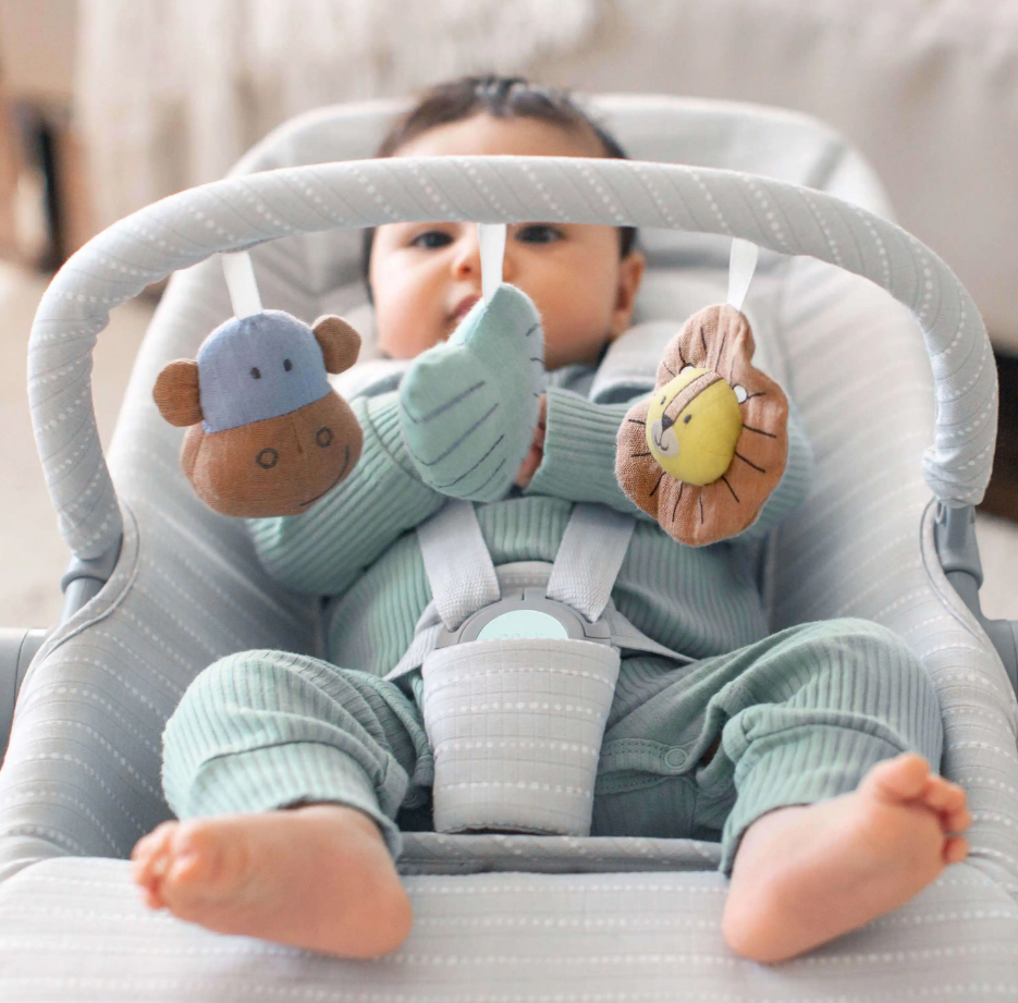 Baby Bouncer & Rocker & Seat