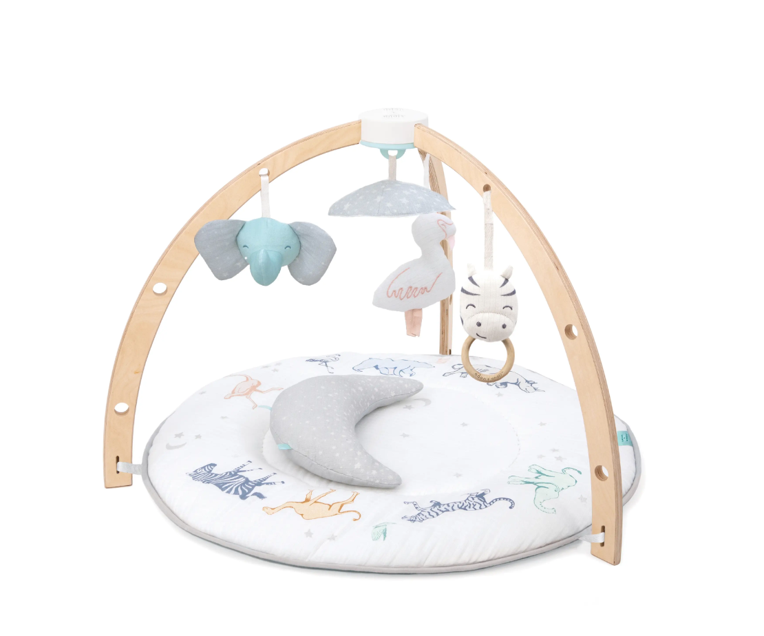 Rising Star Activity Gym