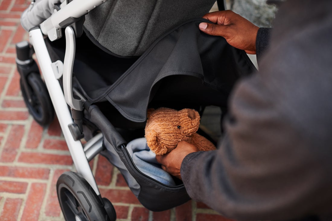 UPPAbaby VISTA V2 / CRUZ V2 Basket Cover