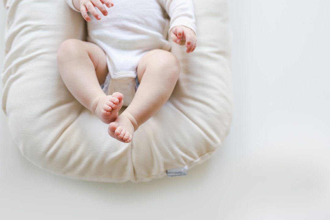 Snuggle Me Organic Infant Lounger Covers