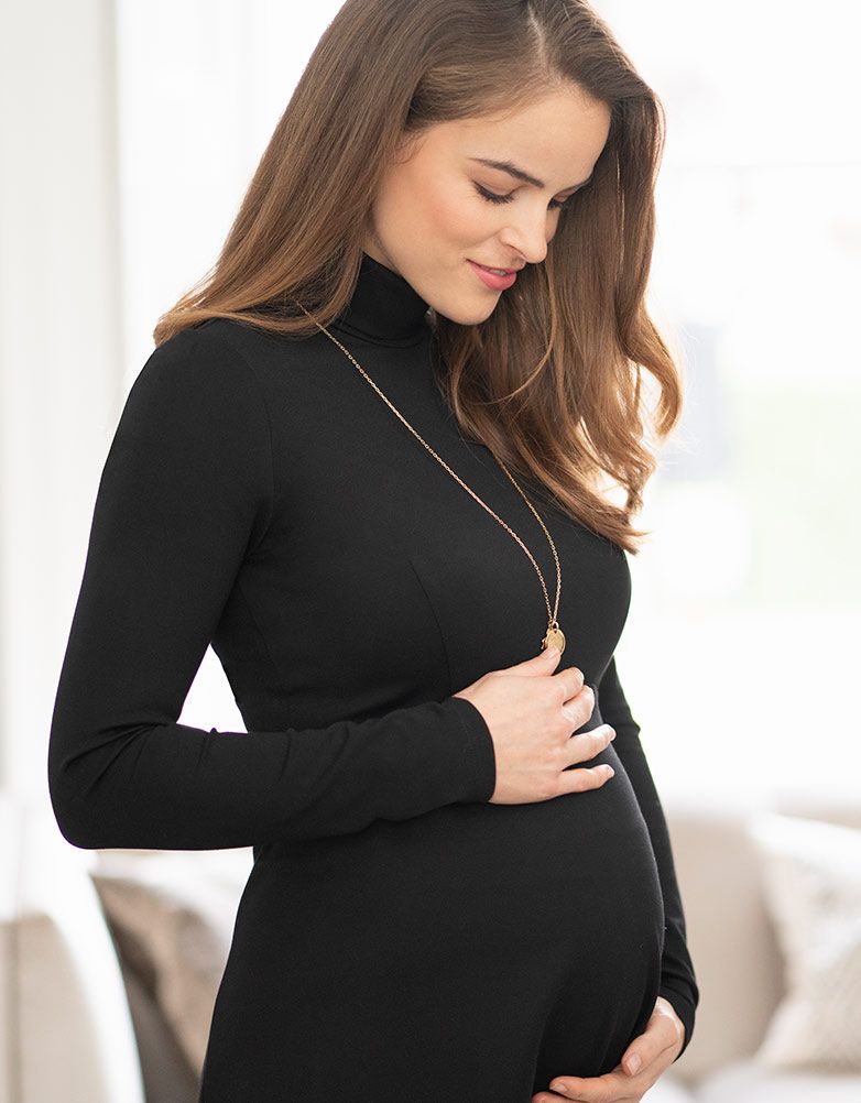 Vanessa Roll-Neck Dress