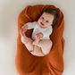 Snuggle Me Organic Infant Lounger Covers