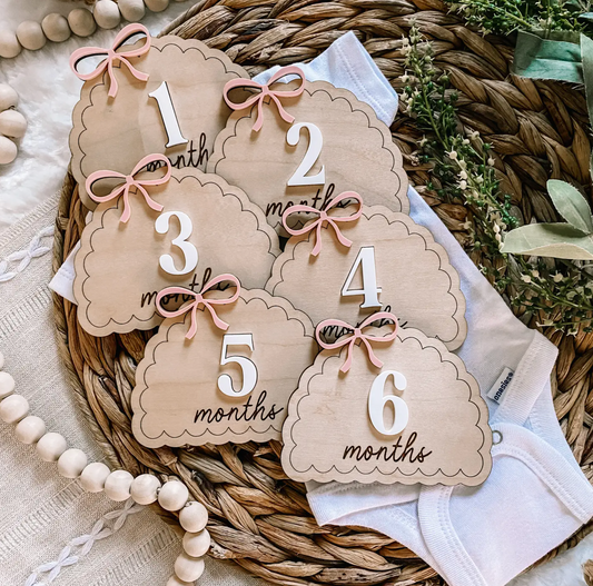 Dainty Bows Monthly Milestone Set - Blush